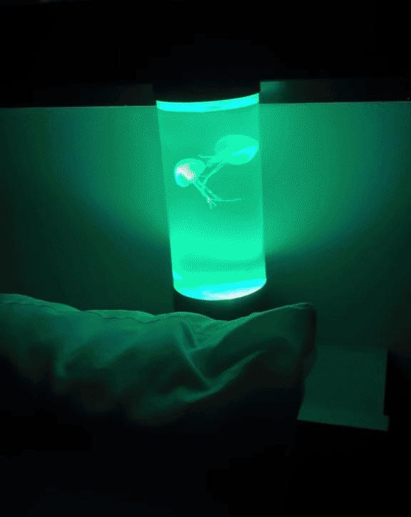 RILIKO™ Jellyfish LED Lamp
